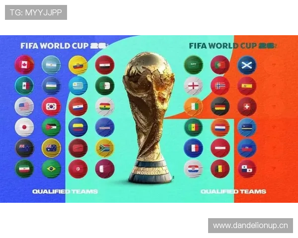 2026世界杯小组排名依据是什么
